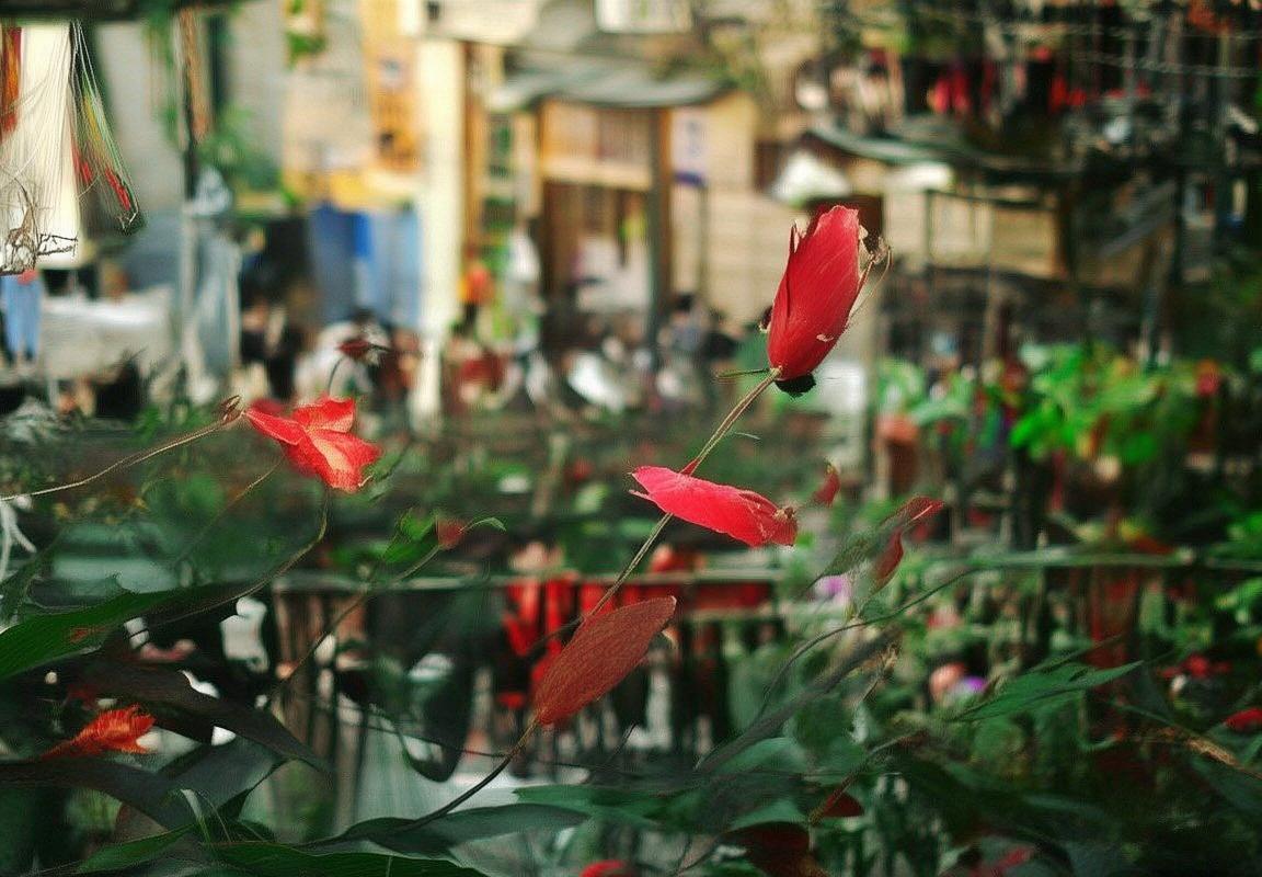 芬洛对阵赫拉克斯勒：现代足球战术新趋势解析